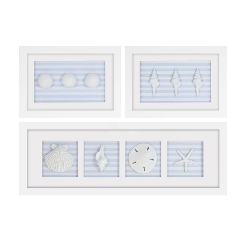 Sand Dollar and Shells Print Framed Wall Plaques - 26.5" - Set of 3