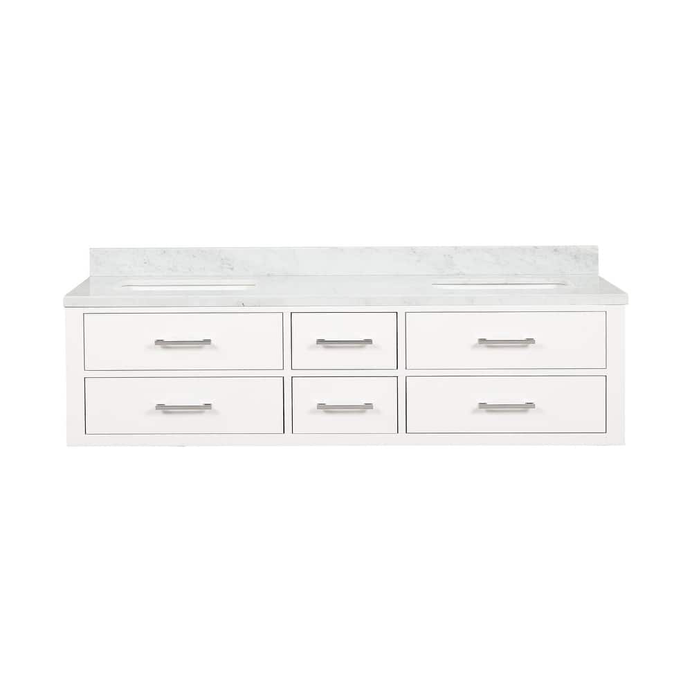 Lexora Castor Double Bath Vanity and Carrara Marble Top