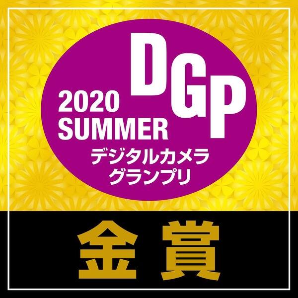 Nikon Af S Nikkor 0 500mm F 5 6e Ed Vr Lens For Nikon Dslr Digital Overstock