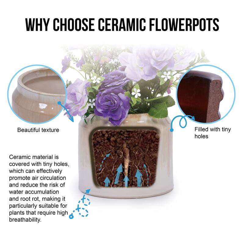 Elegant Ombre Glaze Non-Porous Ceramic Planters Pot for Aquatic Plants