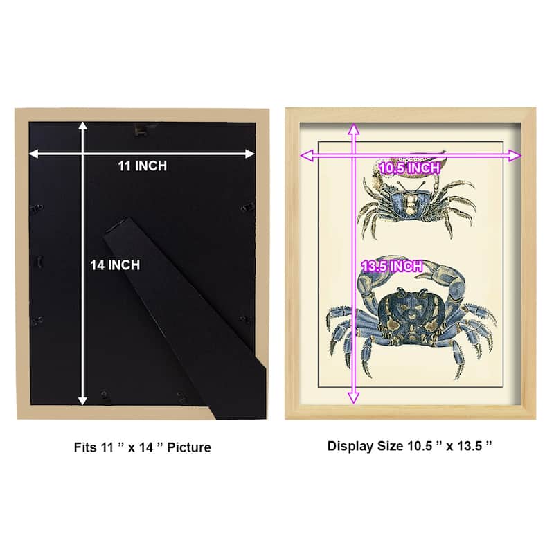 Antique Blue Crabs II -Framed Print w/glass-Cherry Red