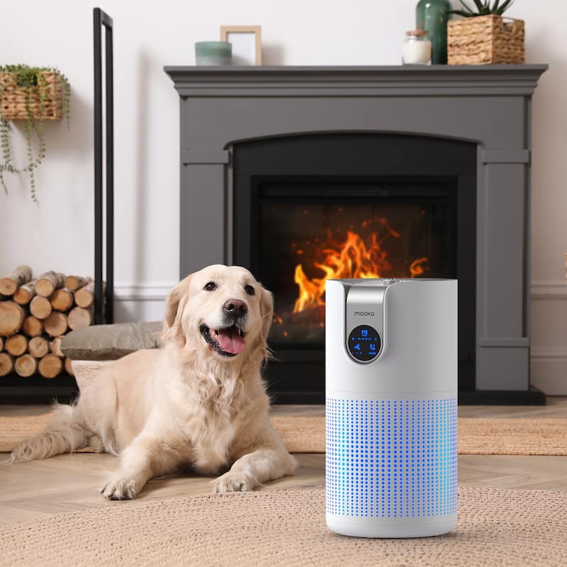 Large Room HEPA Air Purifier with Quiet Sleep Mode