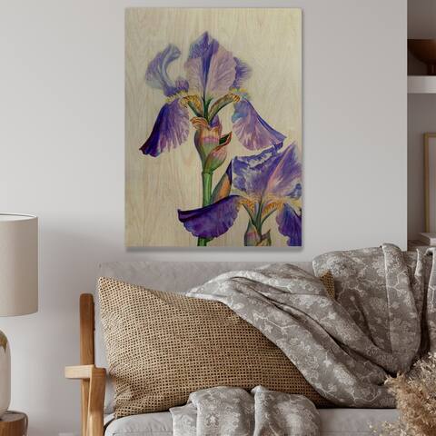 Designart 'Blue And Purple Iris In Summer II' Traditional Wood Wall Art - Natural Pine Wood