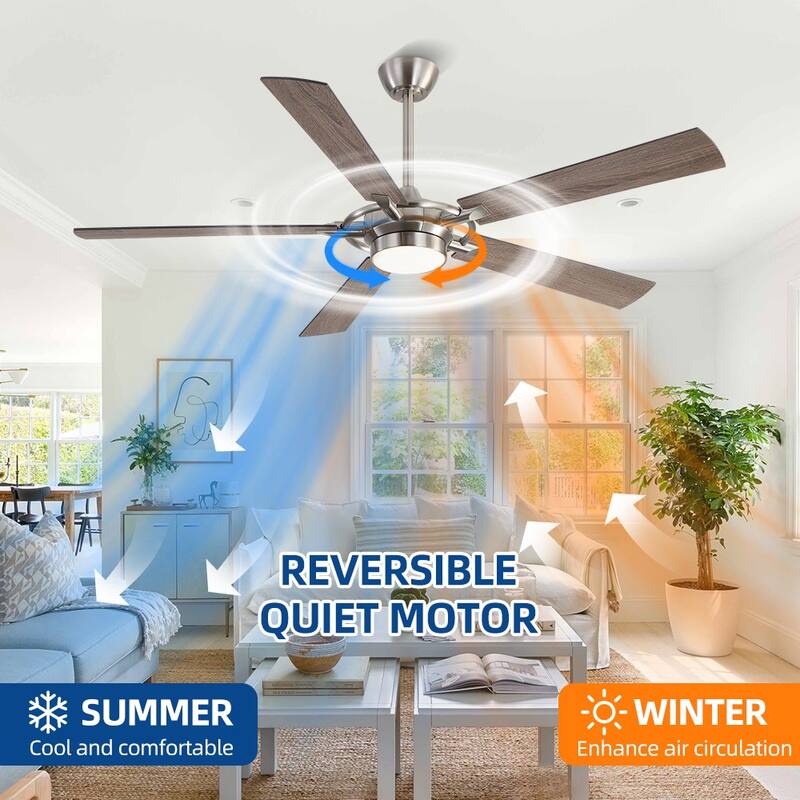 MLiAN 60 In. 5-Plywood Blades Indoor Ceiling Fan with Light Kit and Remote