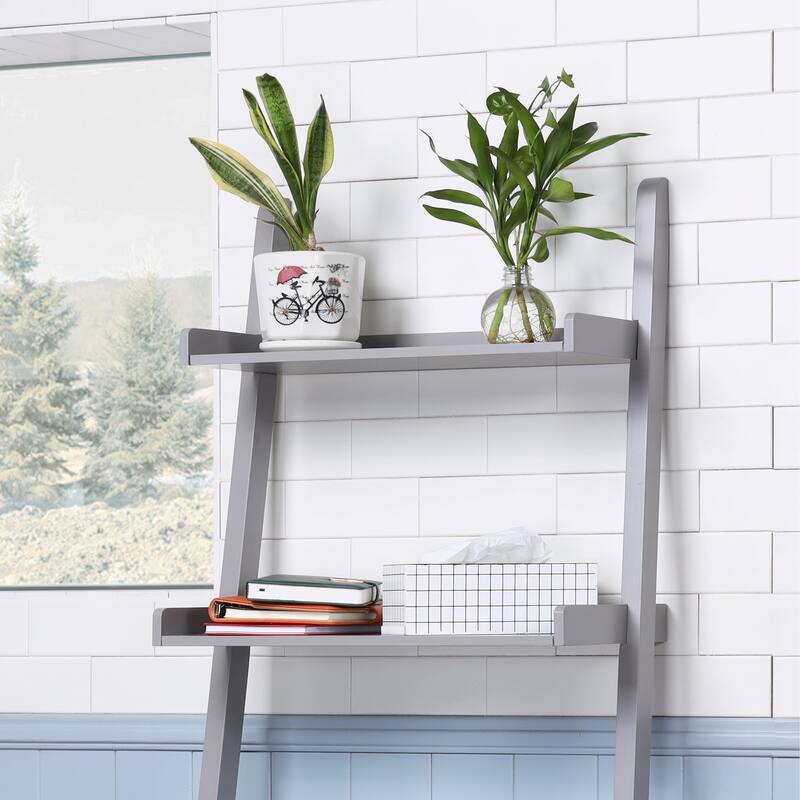 5 - Tier Ladder Shelf