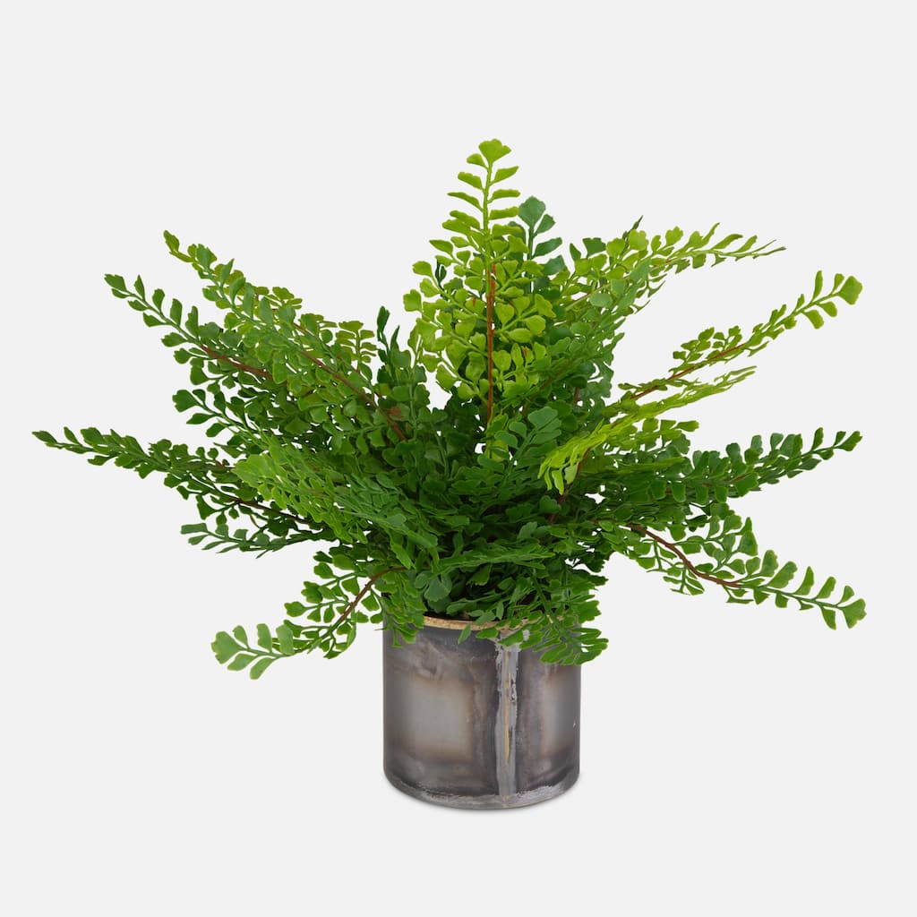 Artificial Maidenhair Fern with Oxidized Container - 14" - Green
