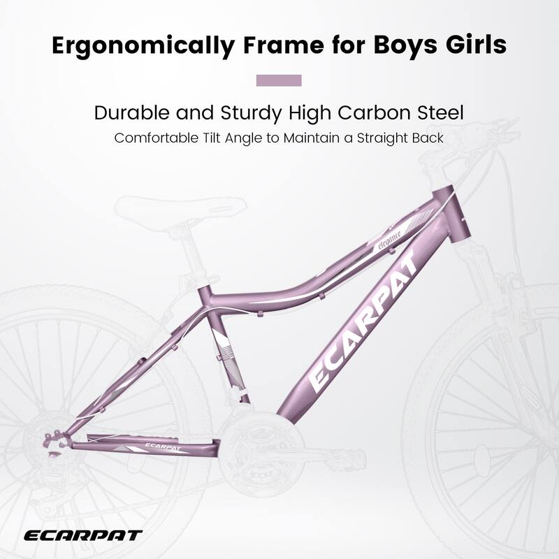 Ecarpat 26 Inch Mountain Bike, 21-Speed V-Brake, Front Suspension, Carbon Steel Frame Mountain Bike