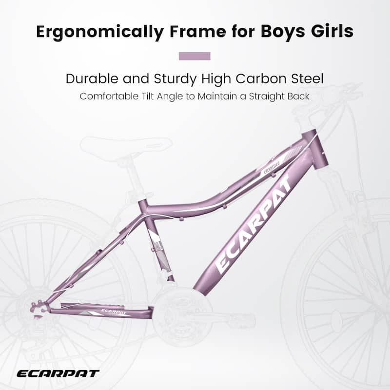 Ecarpat 26 Inch Mountain Bike,21-Speed V-Brake,Front Suspension,Carbon Steel Frame Mountain Bike