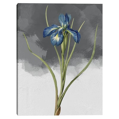 Blue Iris Grey Canvas Art Print