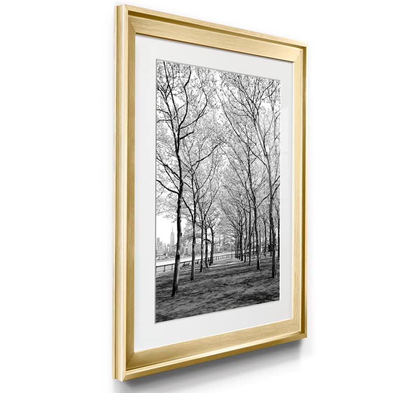 Pier a Park Premium Framed Print - Ready to Hang