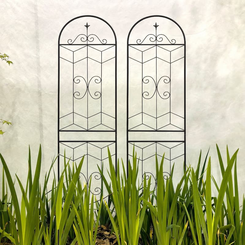 2 Pack Metal Garden Trellis 86.7in x 19.7in Rustproof Trellis