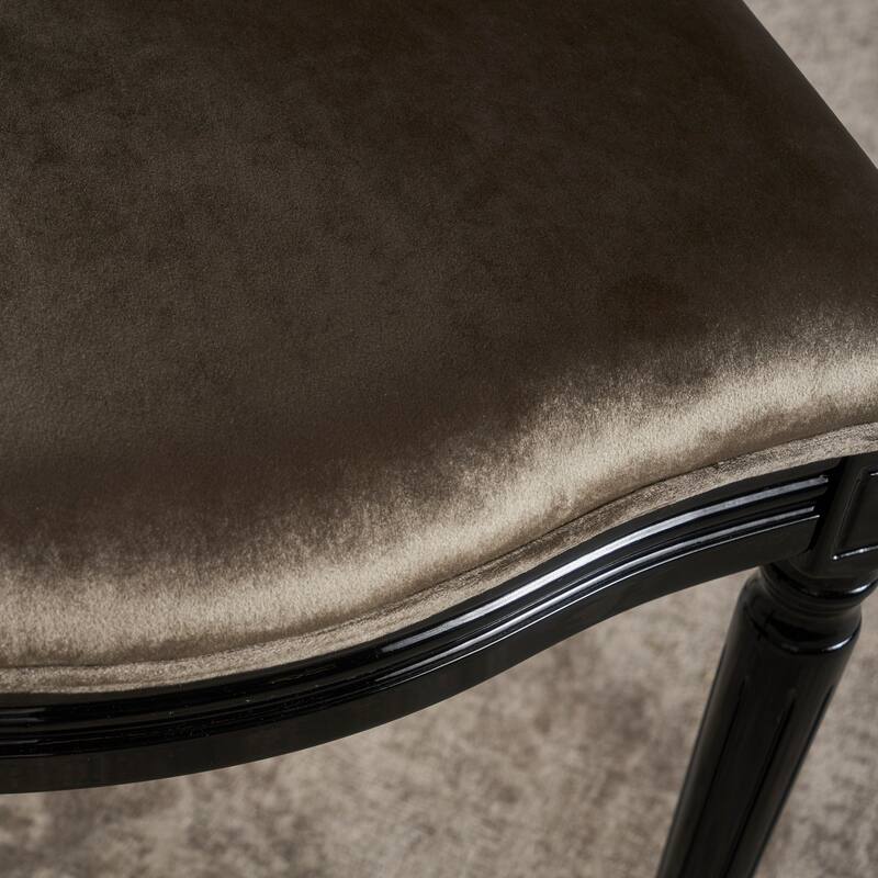 Phinnaeus Contemporary Velvet Dining Chairs (Set of 2) by Christopher Knight Home