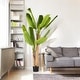 preview thumbnail 17 of 15, Enova Home Realistic Artificial Banana Tree in Nursery Pot for Indoor and Outdoor Decoration