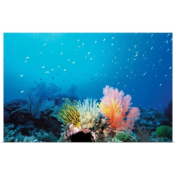 Poster Fishes Coral Reef Many Colorful Tropical Underwater Cloth Print 8