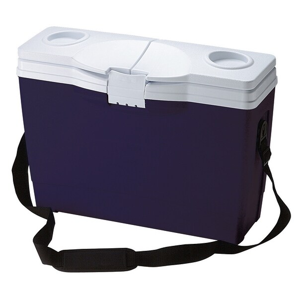 Rubbermaid FG180104MOD 20 Quart Capacity Portable Ice Chest Blue