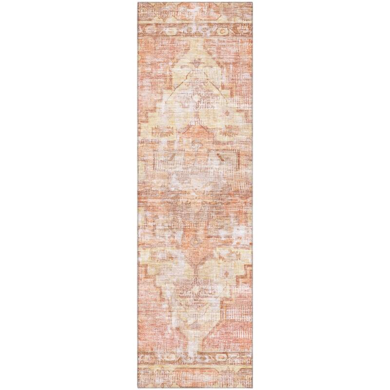Premium Washable Super Soft Vintage Traditional Mayfield Rug