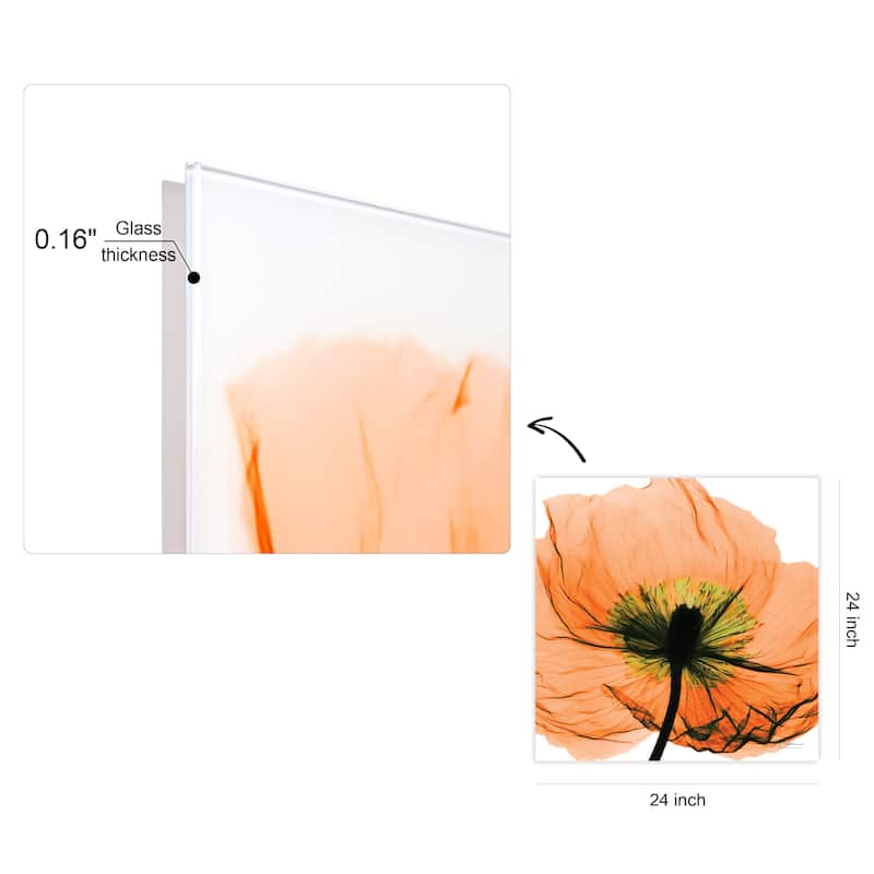"Poppy Orange" Frameless Free Floating Tempered Glass Panel Graphic Wall Art