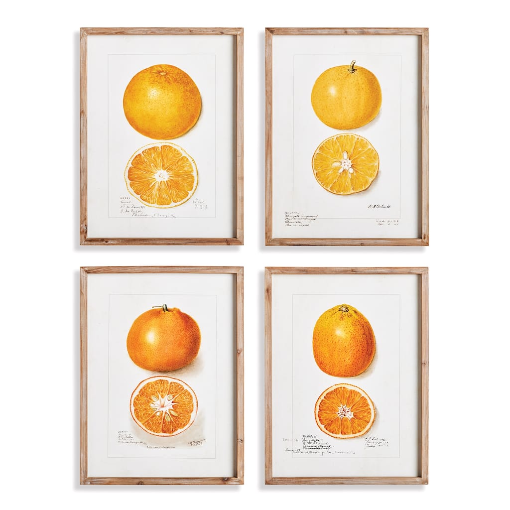 Citrus Study