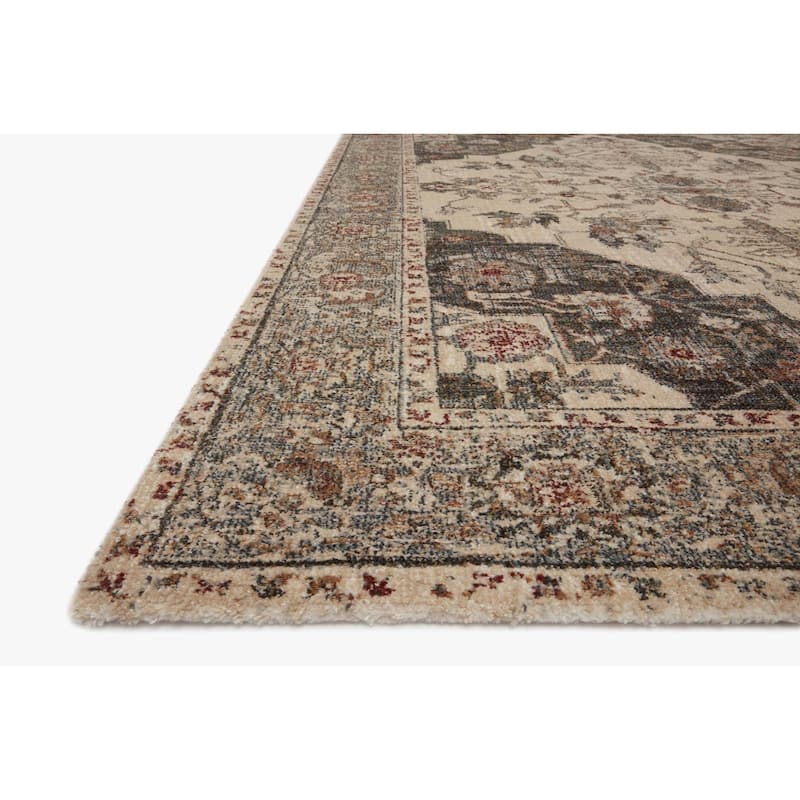 Alexander Home Lincoln Oriental Medallion Area Rug