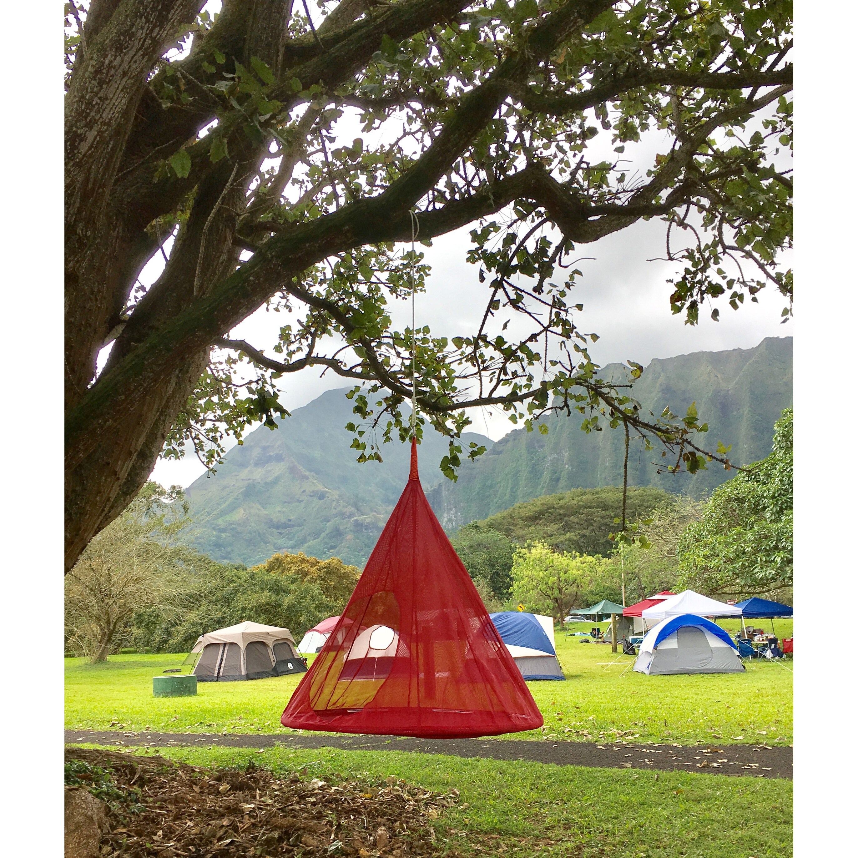 1041FHTBeige Hammock Teardrop Hanging Chair Bed Bath Beyond 38284773