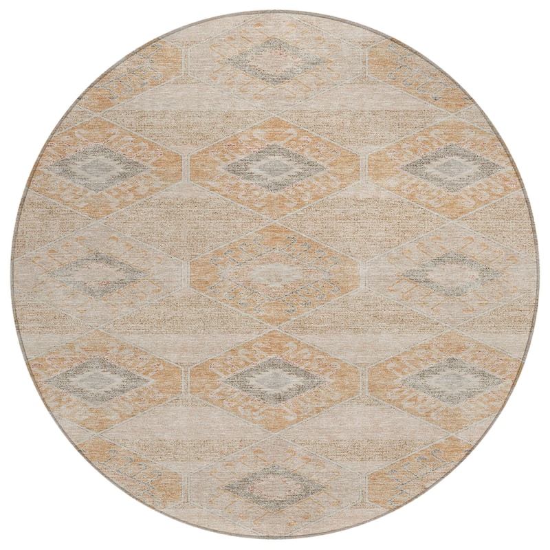 HomeRoots Aztec Transitional Rectangle Outdoor Rug