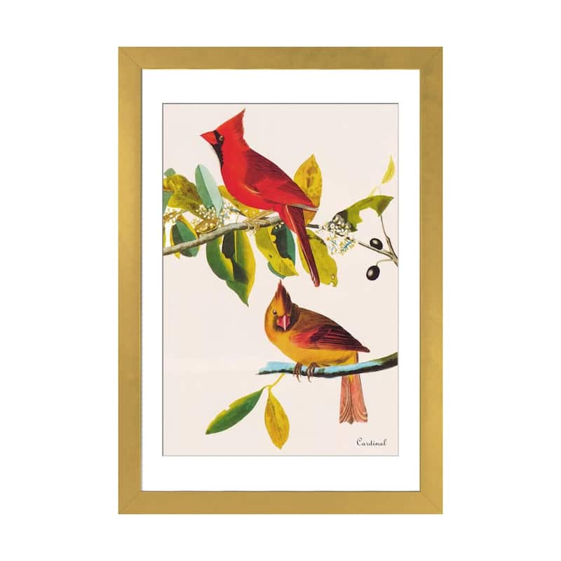 iCanvas "Cardinal" by John James Audubon - Gold - 24x16x1