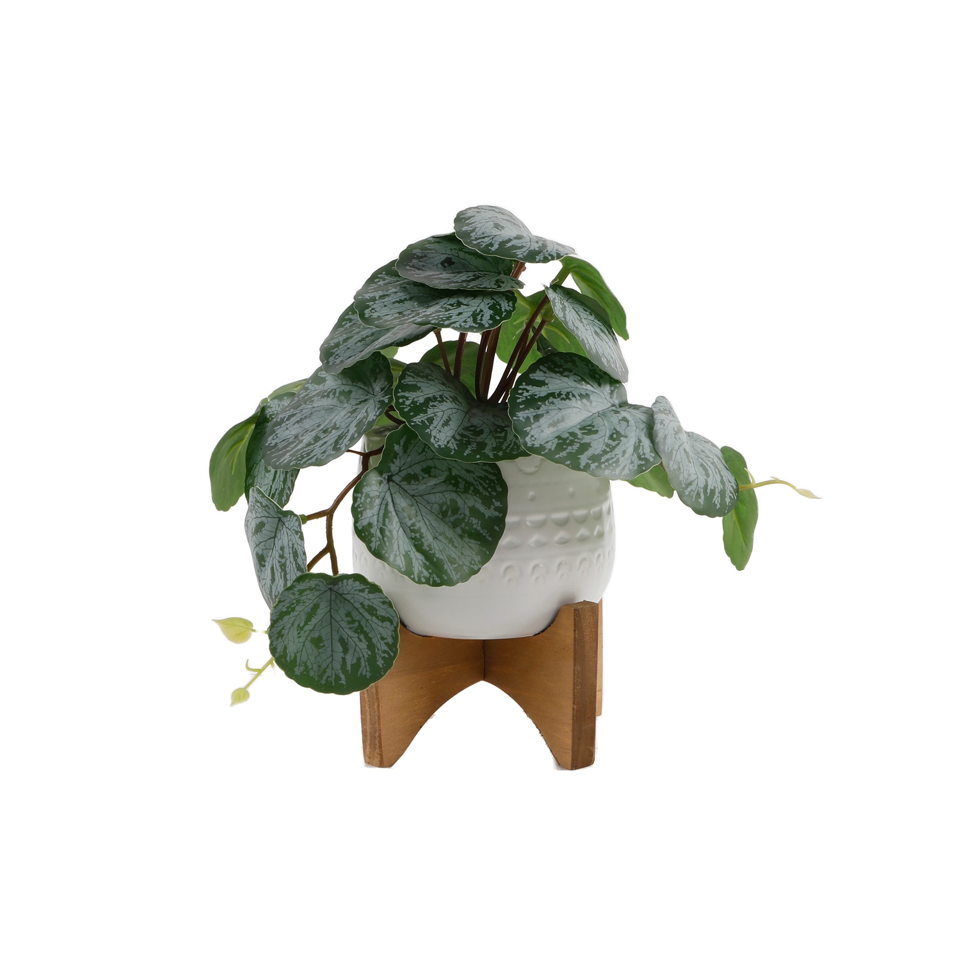 Trailing Faux Peperomia in White Ceramic Pot with Wood Stand
