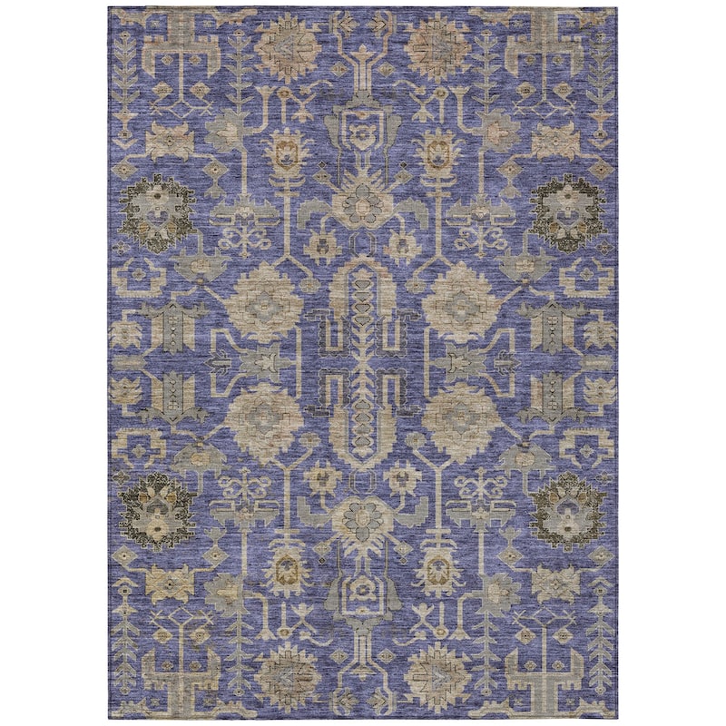 Machine Washable Indoor/ Outdoor Chantille Traditional Boho Rug