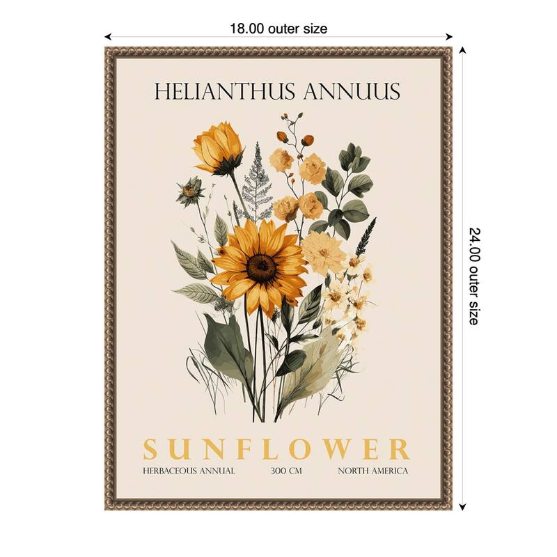 Vintage Botanical Sunflower No. 2 Illustration by Christopher Giampietro Framed Canvas Wall Art Print - Gold - 18 x 24 in