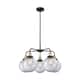 Option Clear / Black Antique Brass