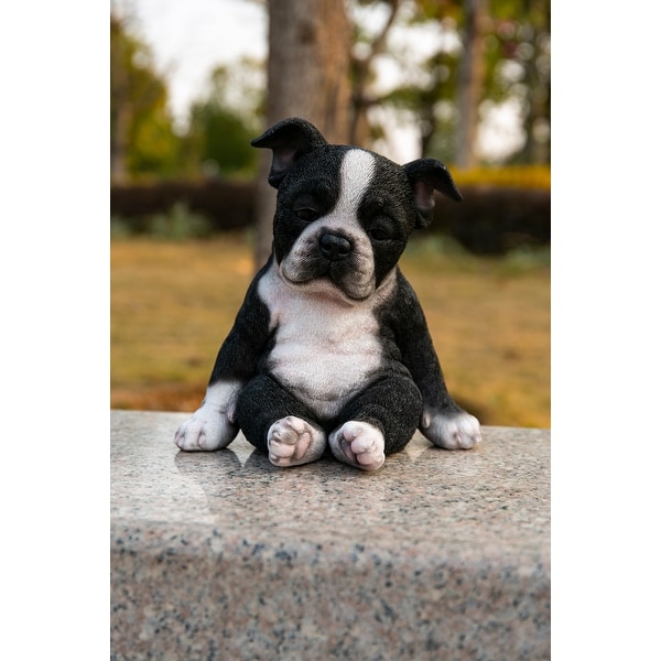 Sitting Sleepy Boston Terrier Puppy Statue On Sale Bed Bath