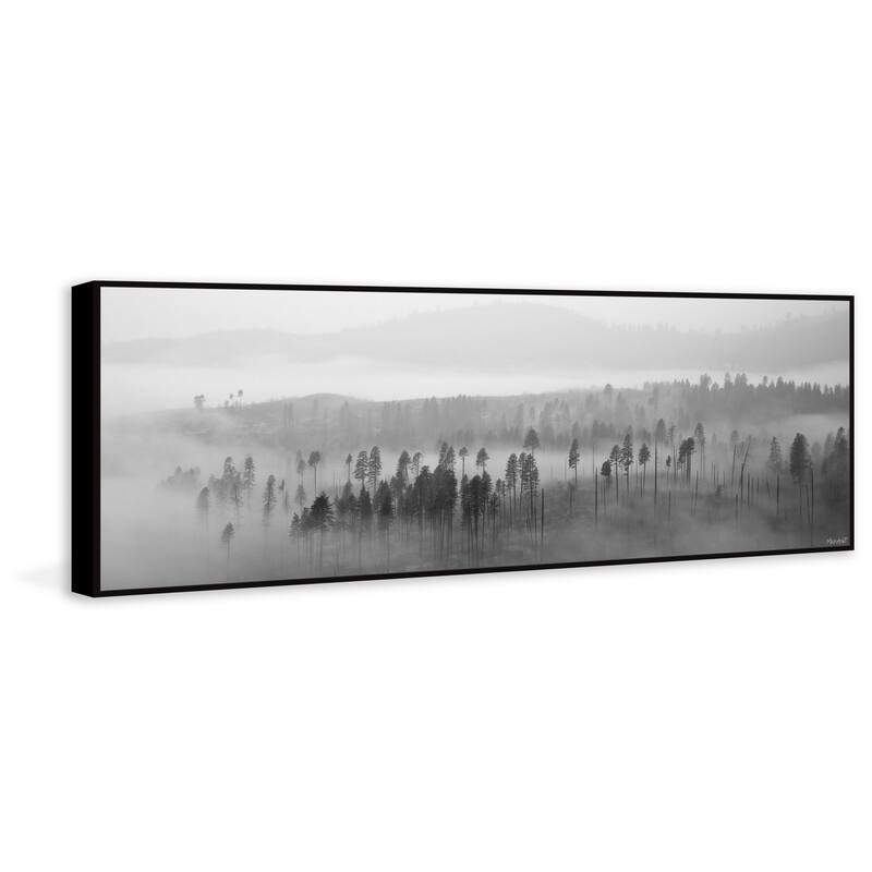 Lost in the Woods Floater Framed Print on Canvas