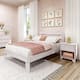 Option White Wash