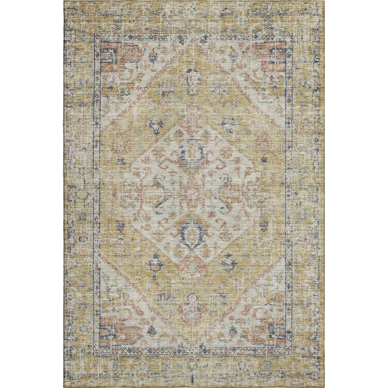 Premium Washable Super Soft Traditional Tribal Mayfield Rug