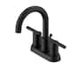 Option Satin Black