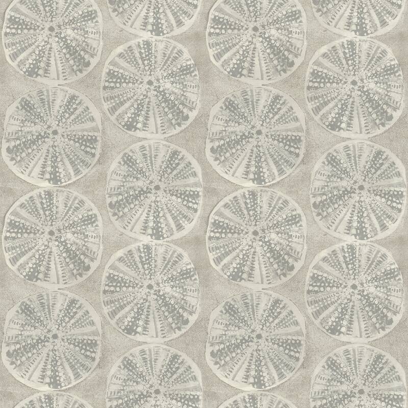Chesapeake Sea Biscuit Grey Sand Dollar Wallpaper