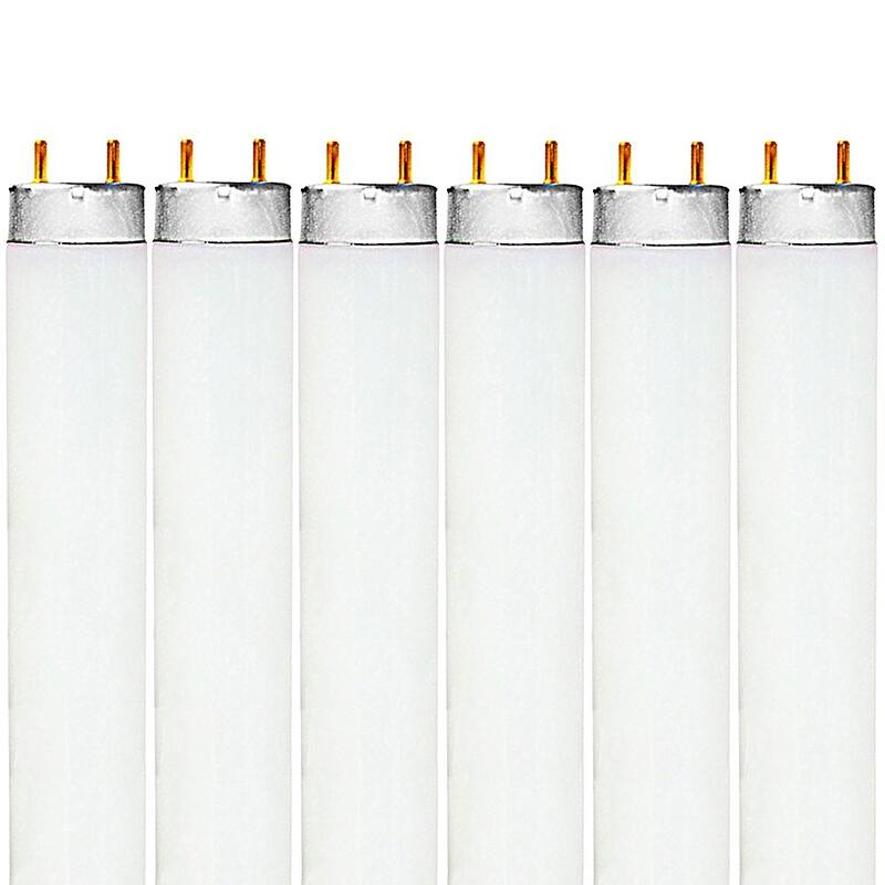 Luxrite 48 Inch T8 Fluorescent Tube Light Bulb 32W 6500K Daylight 2800 Lumens G13 Medium Bi-Pin Base 6-Pack - 6500K (Daylight) - 6500K (Daylight)
