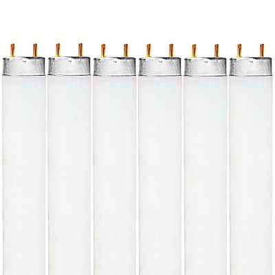 Luxrite 48 Inch T8 Fluorescent Tube Light Bulb 32W 6500K Daylight 2800 Lumens G13 Medium Bi-Pin Base 6-Pack - 6500K (Daylight)