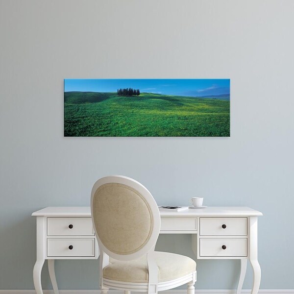 Easy Art Prints Panoramic Images's 'Cypress Trees In A Field, Tuscany, Italy' Premium Canvas Art