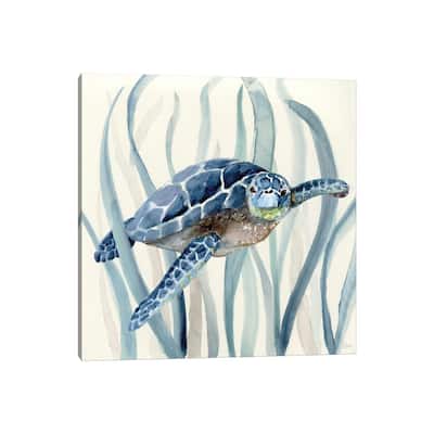 iCanvas "Turtle in Seagrass I" by Nan Canvas Print