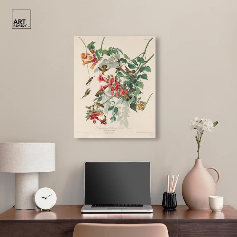 Trochilus Colubris Canvas by Art Remedy, Gallery Wrapped