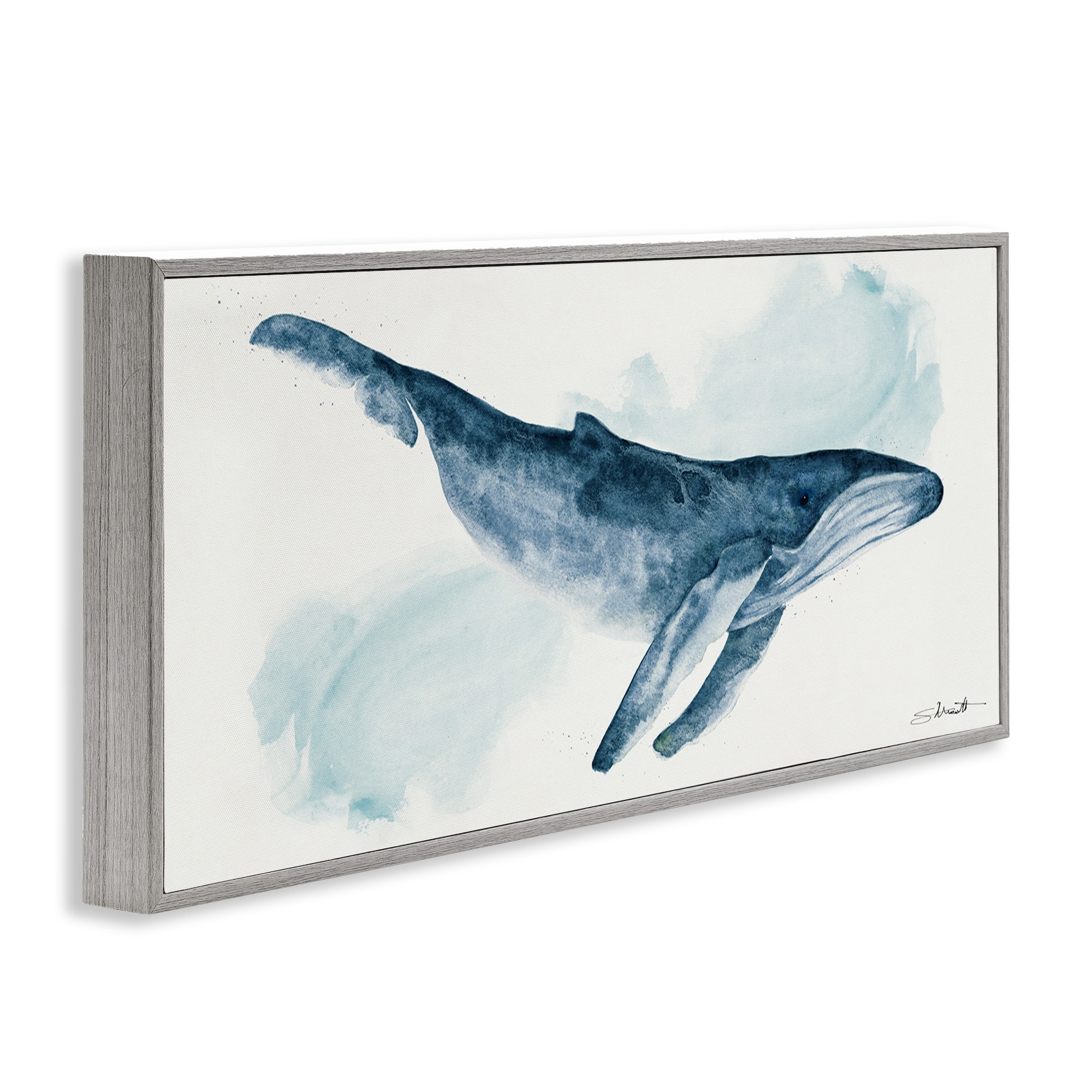whale watercolor drawing