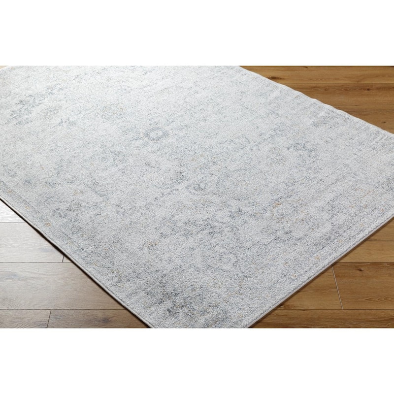Livabliss Caressa Vintage Boho Area Rug