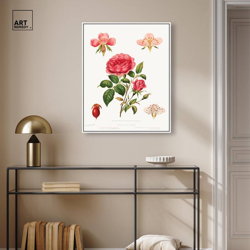 Rose and its parts (1872) Canvas by Art Remedy