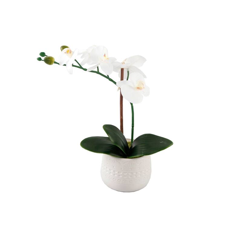 12" Real-touch orchid in WH Mayan ceramic pot,E PACK - ONE-SIZE
