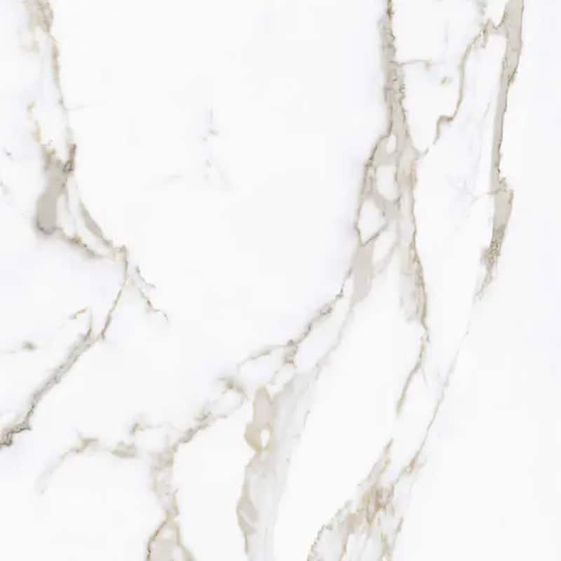 Regalia 24x24 in. Matte Color Body Porcelain Marble-look Vein Large Wall and Floor Tile (15.5 sq ft/case, 4-Pack)