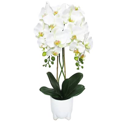 Cream White Artificial Phalaenopsis Orchid Flower Arrangement in White Modern Ceramic Pot 25in - 25" H x 10.5" W x 10.5" DP