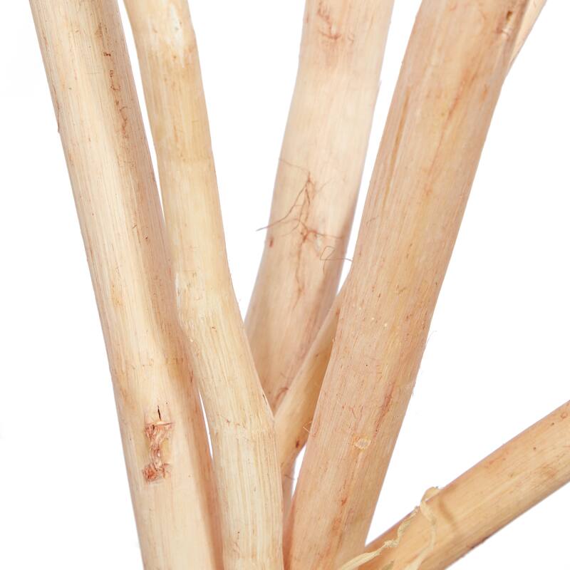 Multi colored, White Brown or Light Brown Dried Plant Pigeon pea Natural Foliage (Set of 2)