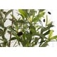 preview thumbnail 12 of 24, Kate and Laurel Oliveira Faux Olive Tree
