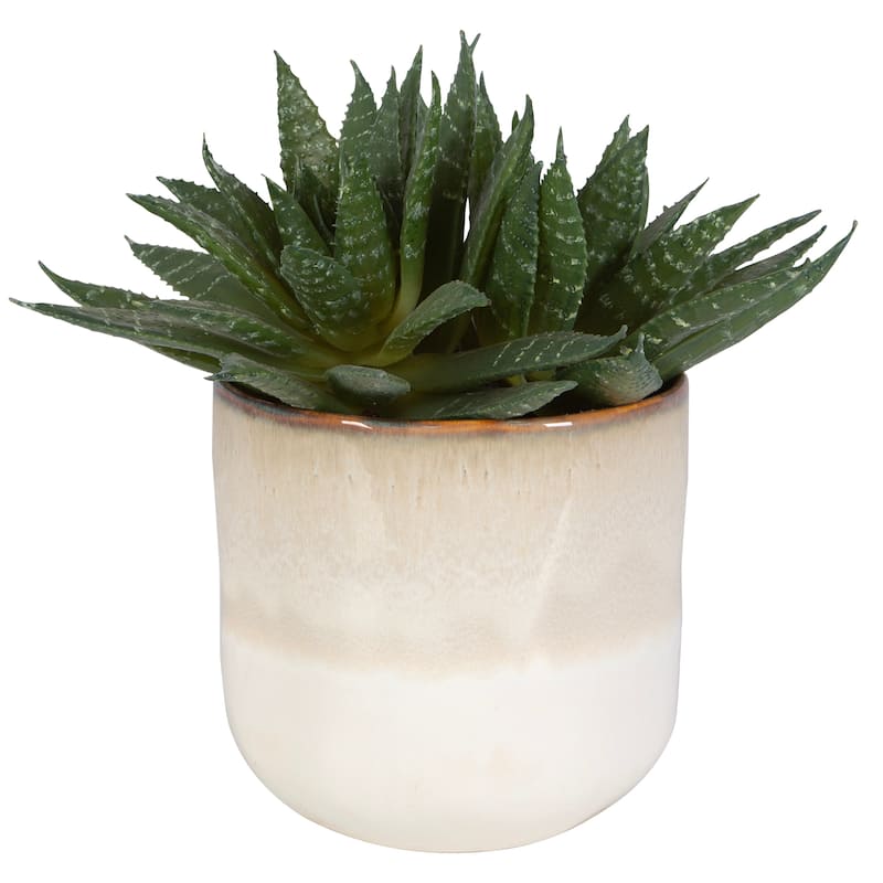 Uttermost Doha Succulent Accent - 11"W x 10.5"H x 9"D